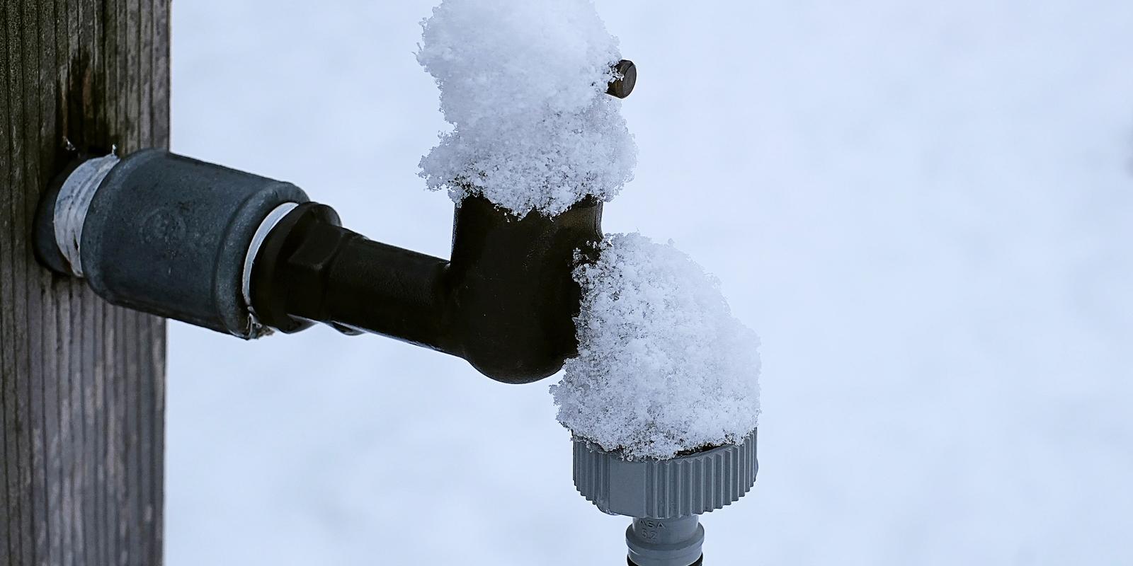 tuin winter onderhoud